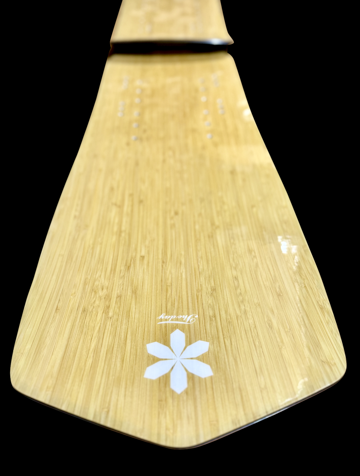 STINGRAY 3D | THE METAL WORX SNOWMOTO | スノーモト